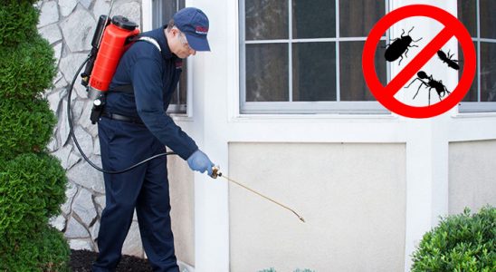 Dodurga Gümüşkurt İlaçlama böcek ilaçlama ve haşere kontrolü — ilaclama-tr.com